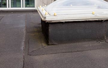 disadvantages of Wester Dechmont flat roofs