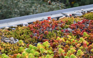 the cost of Wester Dechmont green roof installation