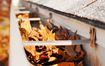 Wester Dechmont gutter cleaning companies