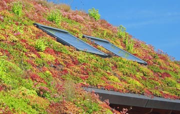 Wester Dechmont living roof systems