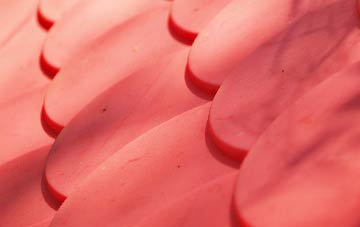 Wester Dechmont plastic roof costs