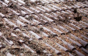 Wester Dechmont roof cleaning companies