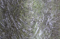 Wester Dechmont fibreglass roof work